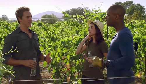 Love on the Vines Screenshot